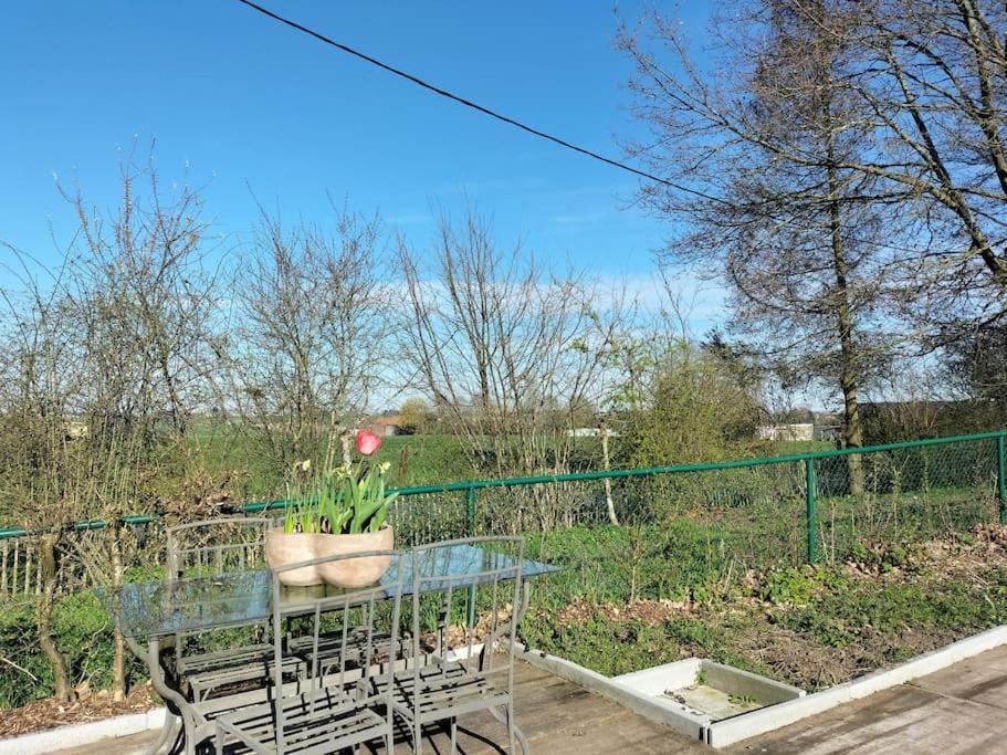 Gite Rural La Ferme Du Semeur-Zaaiershof Lessines Buitenkant foto