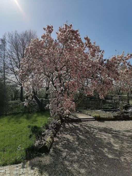 Gite Rural La Ferme Du Semeur-Zaaiershof Lessines Buitenkant foto