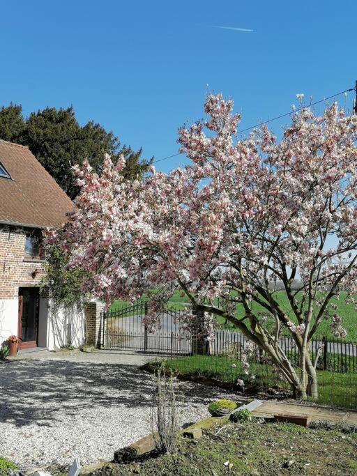 Gite Rural La Ferme Du Semeur-Zaaiershof Lessines Buitenkant foto
